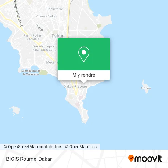 BICIS Roume plan