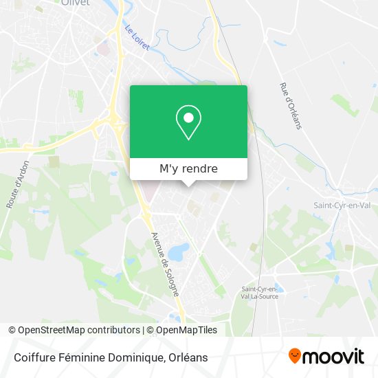 Coiffure Féminine Dominique plan
