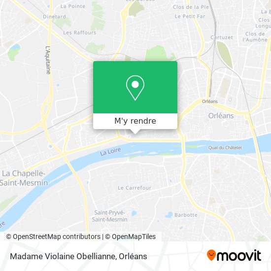 Madame Violaine Obellianne plan