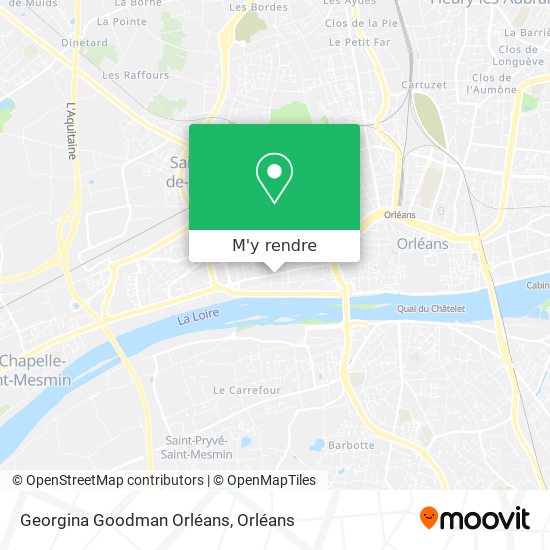 Georgina Goodman Orléans plan