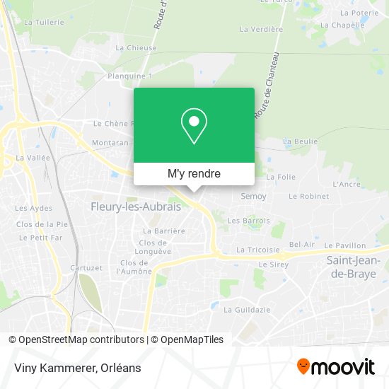 Viny Kammerer plan