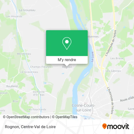 Rognon plan