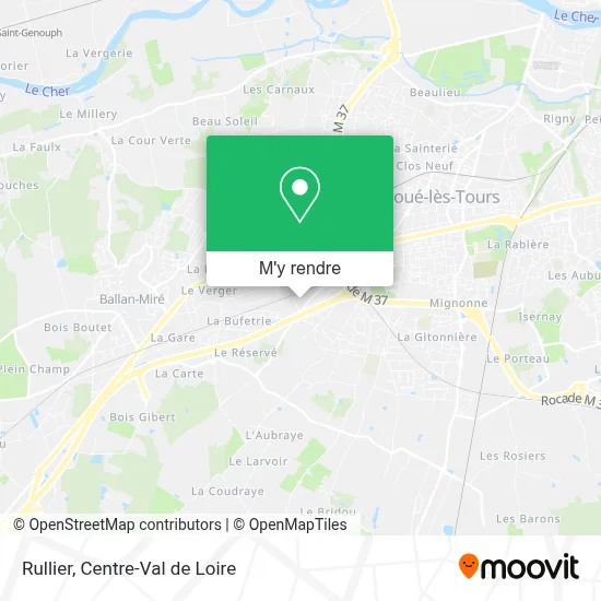 Rullier plan
