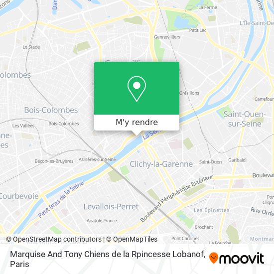 Marquise And Tony Chiens de la Rpincesse Lobanof plan
