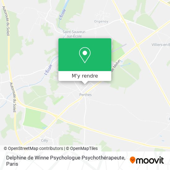Delphine de Winne Psychologue Psychothérapeute plan