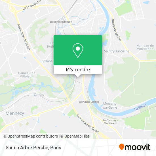 Sur un Arbre Perché plan