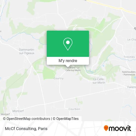 McCf Consulting plan