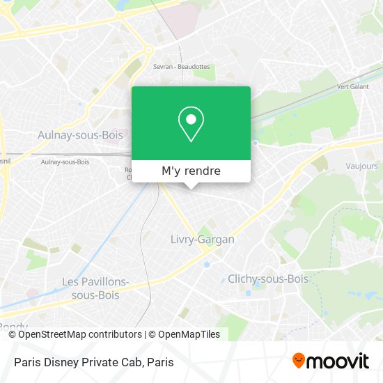 Paris Disney Private Cab plan