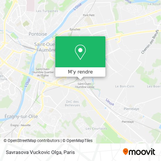 Savrasova Vuckovic Olga plan