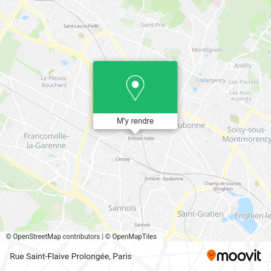 Rue Saint-Flaive Prolongée plan