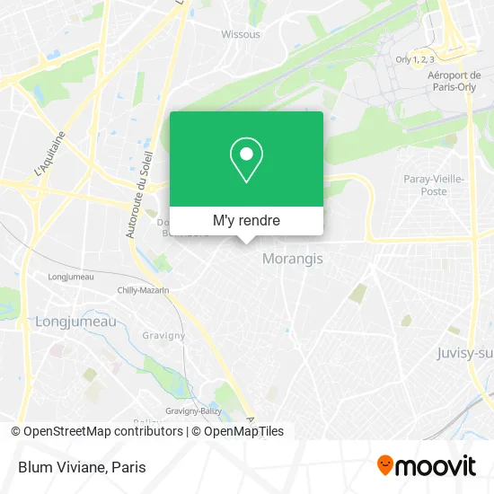 Blum Viviane plan