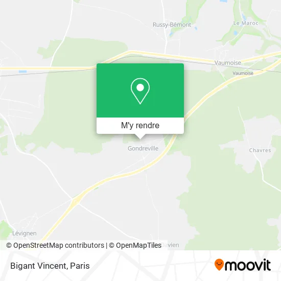 Bigant Vincent plan