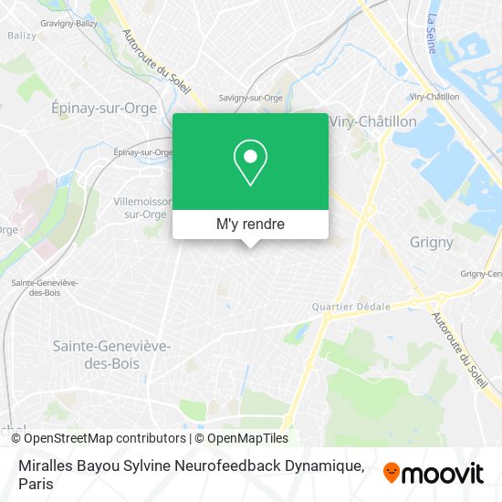 Miralles Bayou Sylvine Neurofeedback Dynamique plan