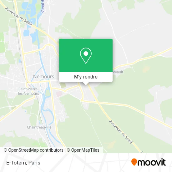 E-Totem plan