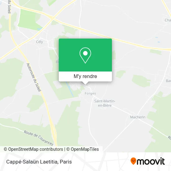 Cappé-Salaün Laetitia plan