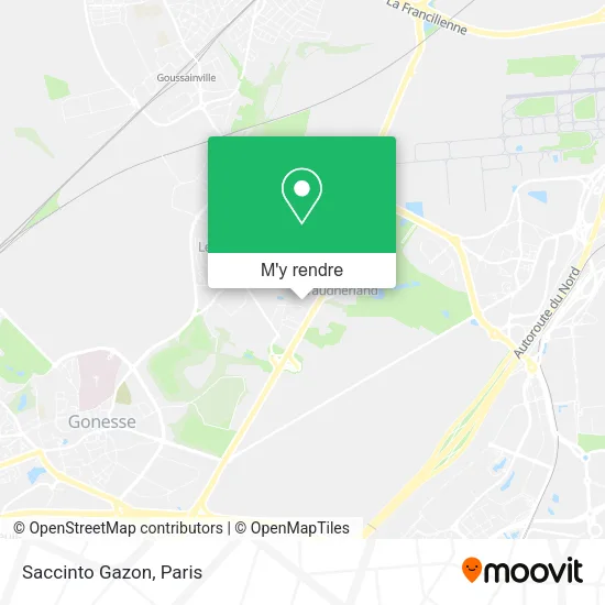 Saccinto Gazon plan