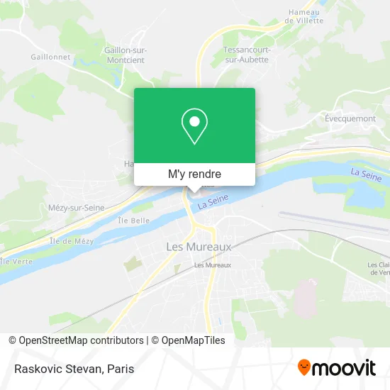 Raskovic Stevan plan