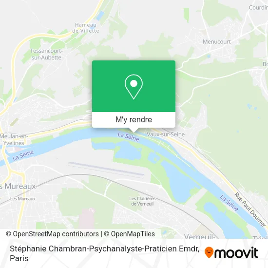Stéphanie Chambran-Psychanalyste-Praticien Emdr plan