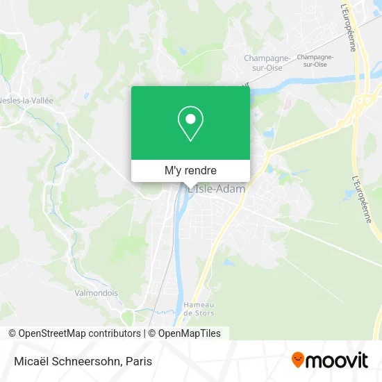 Micaël Schneersohn plan