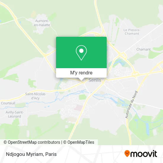 Ndjogou Myriam plan