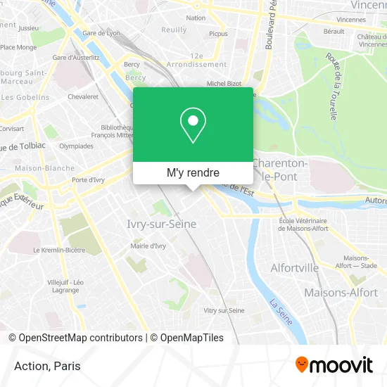 Action plan