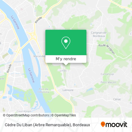 Cèdre Du Liban (Arbre Remarquable) plan