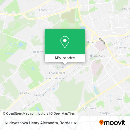 Kudryashova Henry Alexandra plan