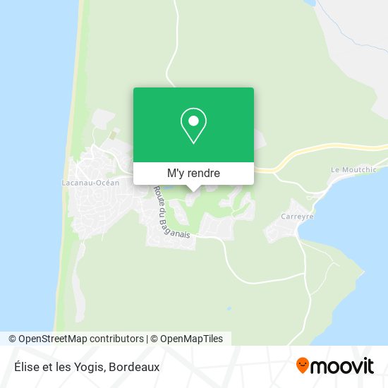 Élise et les Yogis plan