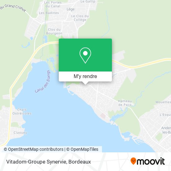 Vitadom-Groupe Synervie plan