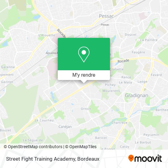 Street Fight Training Academy plan