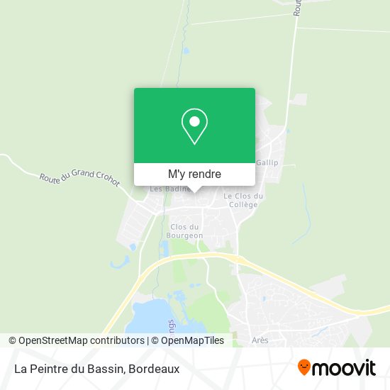 La Peintre du Bassin plan