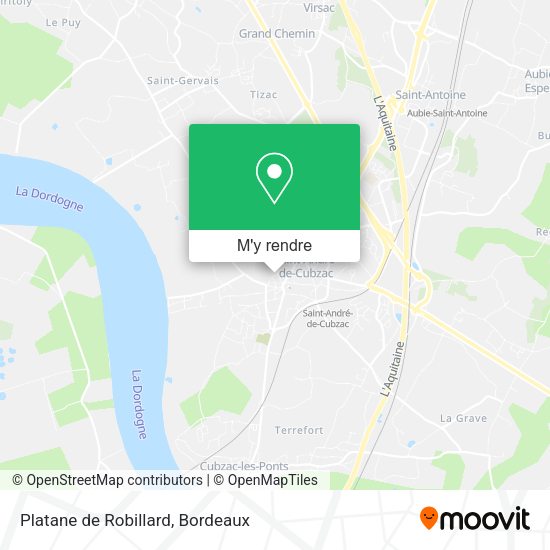 Platane de Robillard plan