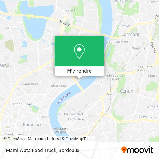 Mami Wata Food Truck plan