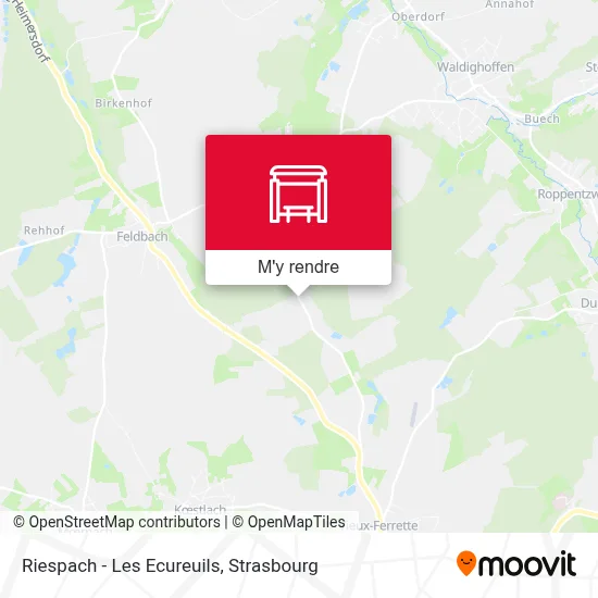 Riespach - Les Ecureuils plan