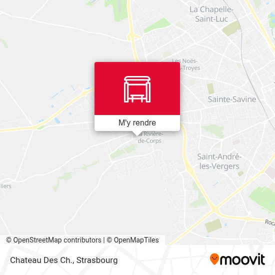 Chateau Des Ch. plan