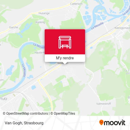 Van Gogh plan