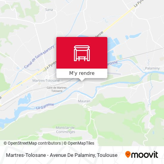 Martres-Tolosane - Avenue De Palaminy plan