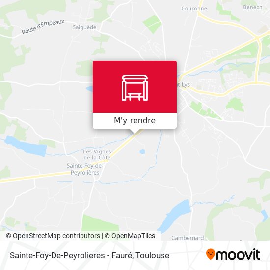 Sainte-Foy-De-Peyrolieres - Fauré plan
