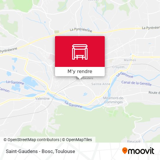 Saint-Gaudens - Bosc plan