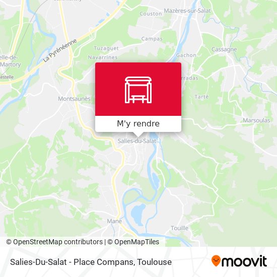 Salies-Du-Salat - Place Compans plan