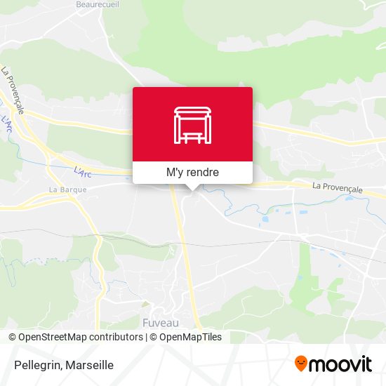 Pellegrin plan