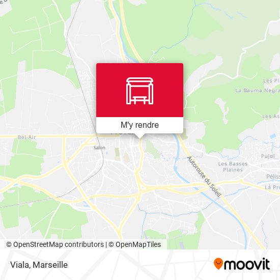 Viala plan