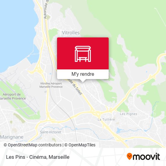 Les Pins - Cinéma plan
