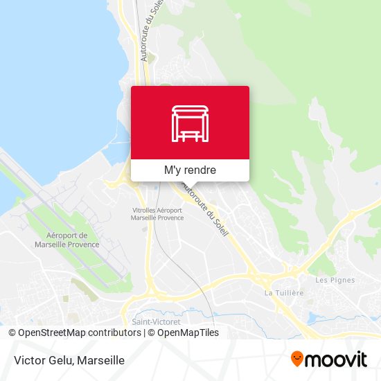 Victor Gelu plan