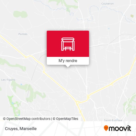 Cruyes plan