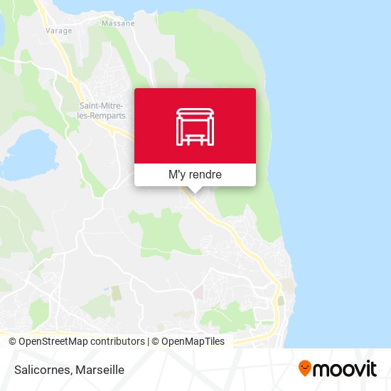 Salicornes plan