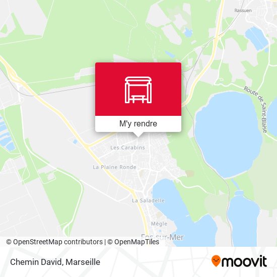 Chemin David plan