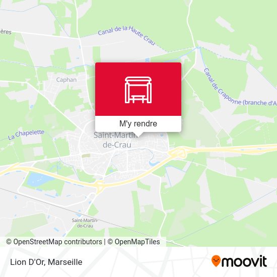 Lion D'Or plan