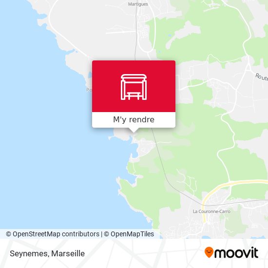 Seynemes plan
