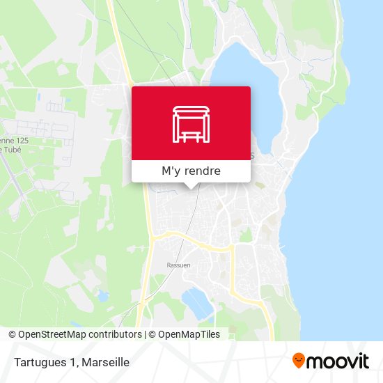Tartugues 1 plan